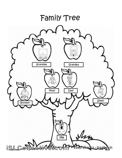 Family Tree Worksheet For Kindergarten