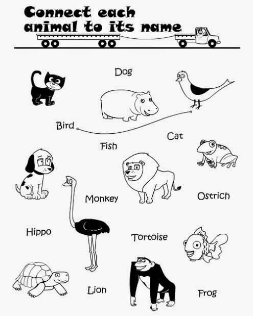 Animals Worksheets For Kindergarten