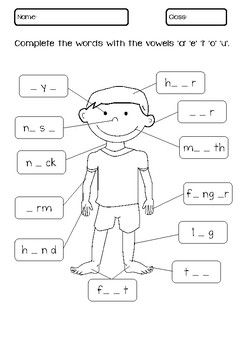 My Body Worksheet Preschool