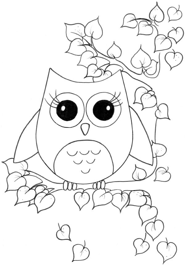 Owl Coloring