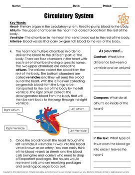 Finding Slope From Two Points Worksheet Kuta