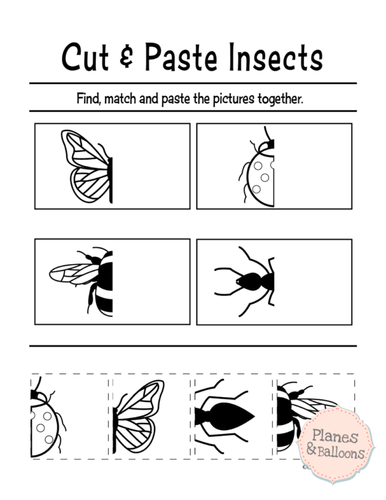 Free Preschool Printables Cut And Paste