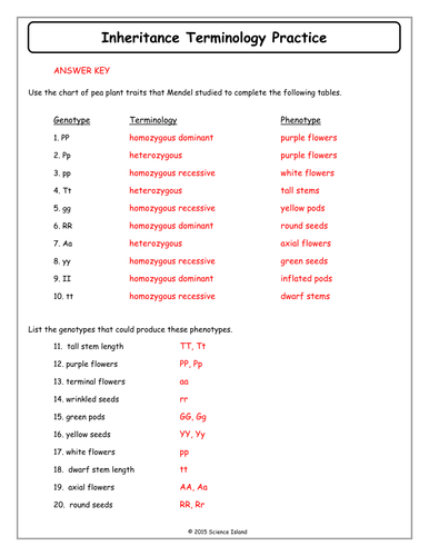 Genetics Practice Problems Worksheet Answers Pdf