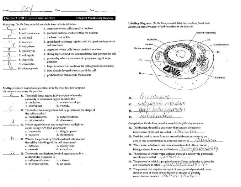 Biology Worksheets