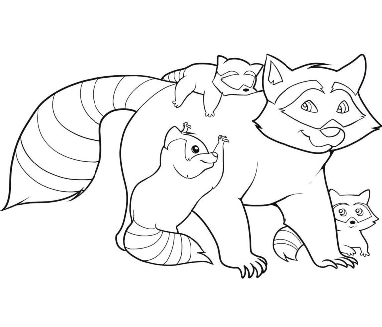 Racoon Coloring Page