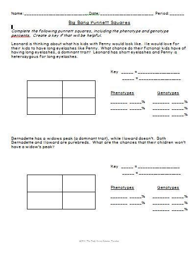 Punnett Square Worksheet For Elementary Students