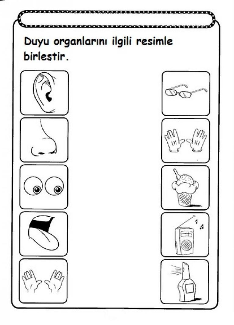 5 Senses Worksheets Preschool