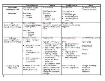 Macromolecules Worksheet 1