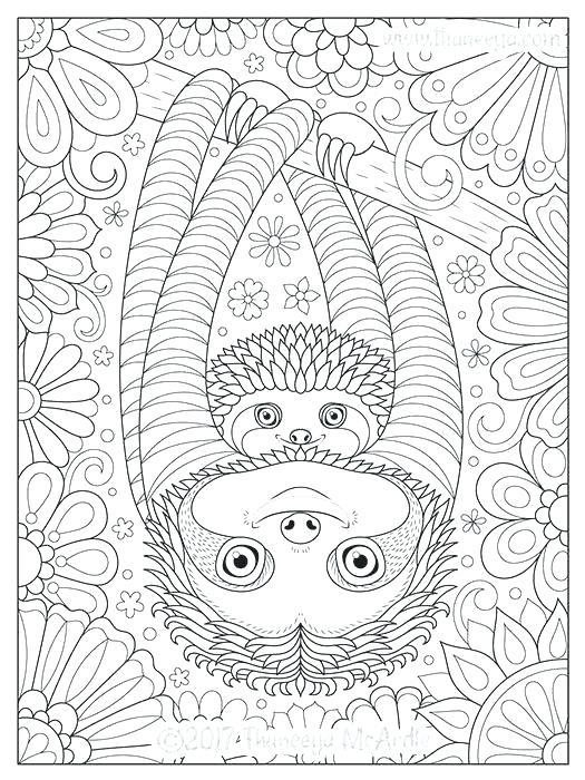 Sloth Coloring Page