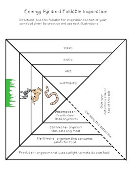 Emoji Transformations Geometry Worksheet