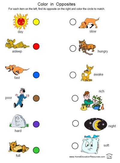 Opposites Worksheets For Kindergarten