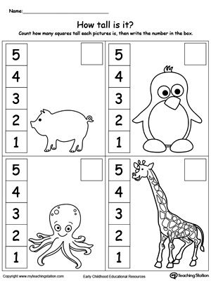 Measurement Worksheets For Preschoolers