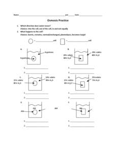 Diffusion And Osmosis Worksheet Answer Key