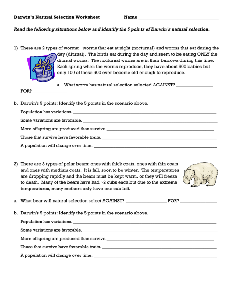 Evolution Worksheet Pdf