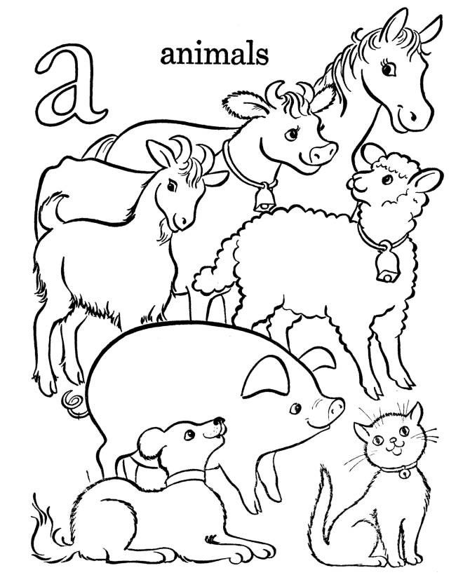 Coloring Book Animals For Kids