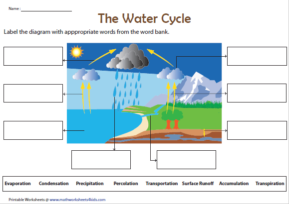 Label The Water Cycle Diagram Worksheet