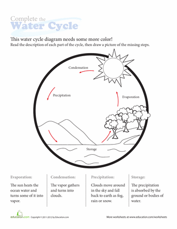 Water Cycle Worksheet