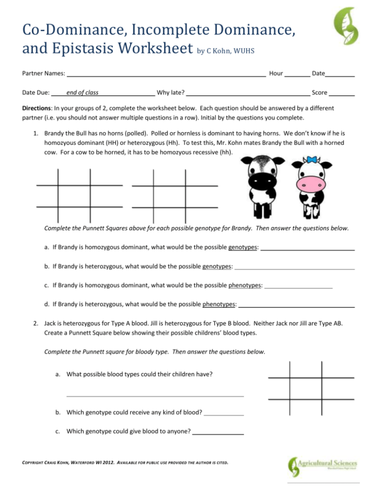 Incomplete Dominance Punnett Square Worksheet