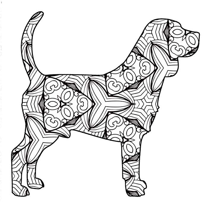 Free Animal Coloring Pages