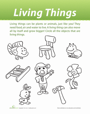 Live Worksheets For Kindergarten