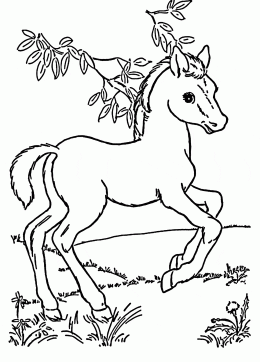 Horse Coloring Pages