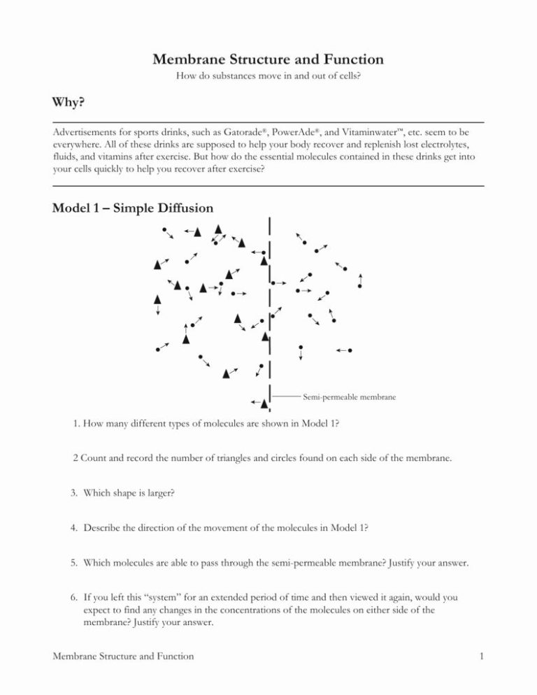 Permutations And Combinations Worksheet