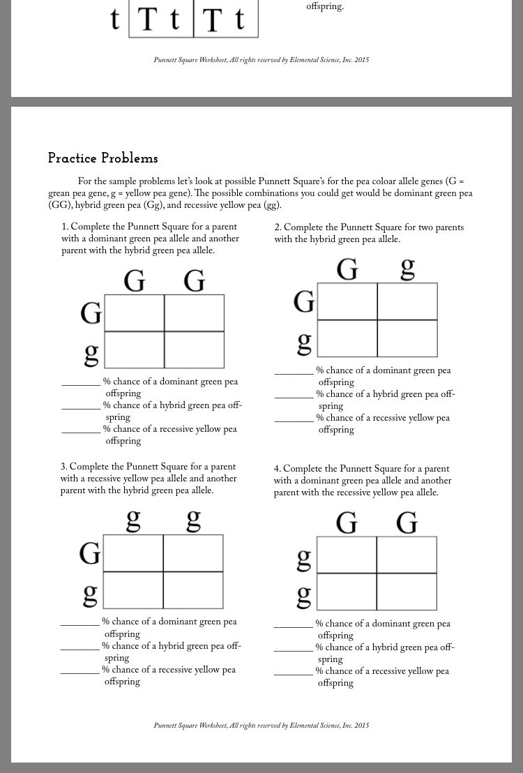 Color Blindness Pedigree Worksheet