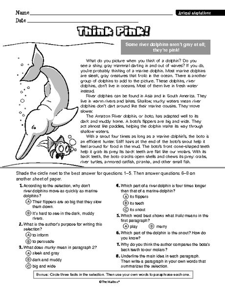 Animal Adaptations Worksheets Pdf