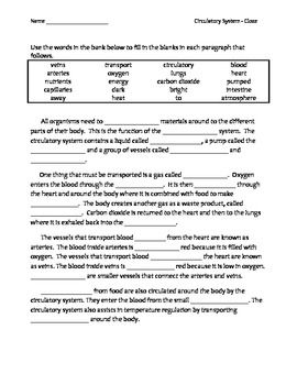 Circulatory System Worksheet Grade 5 Pdf