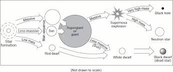 Graphic Organizer Life Cycle Of A Star Worksheet