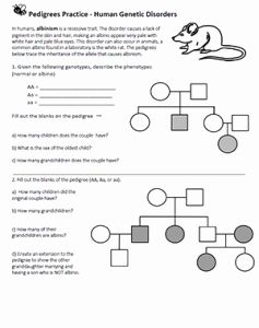 Simple Pedigree Worksheet