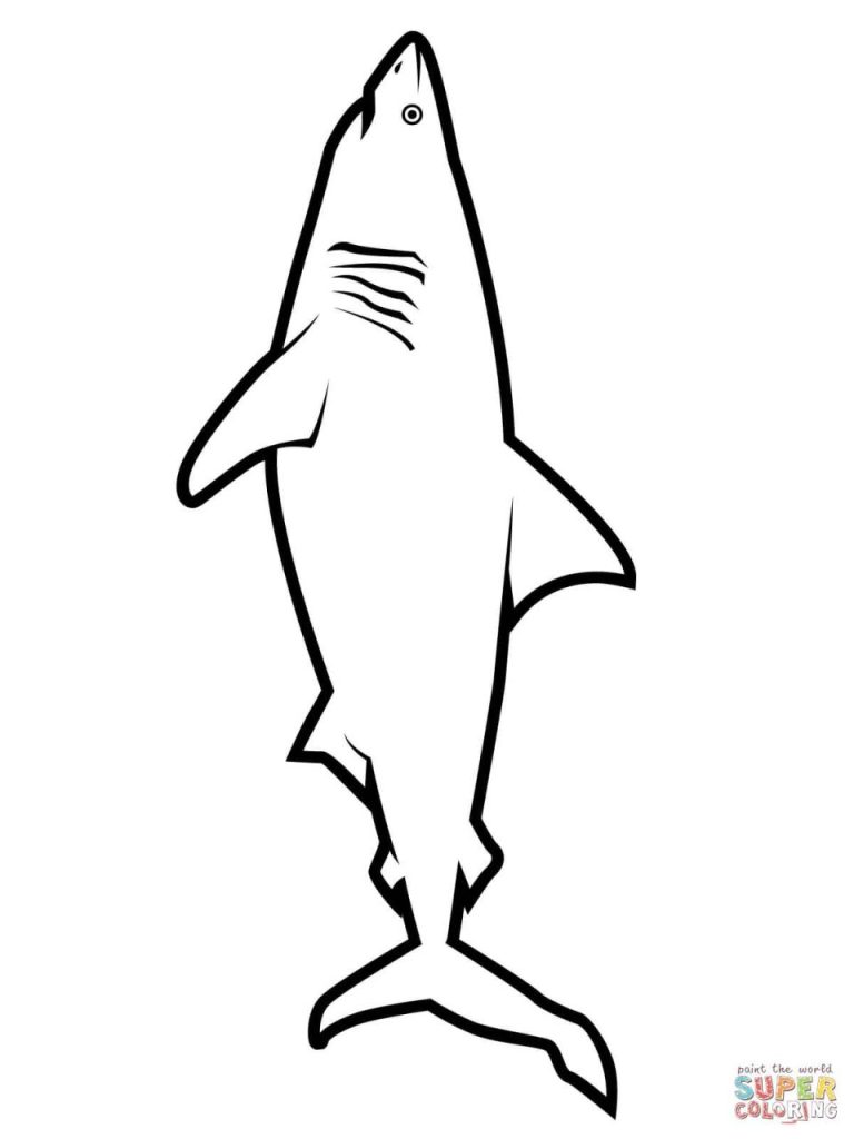 Shark Coloring Pages