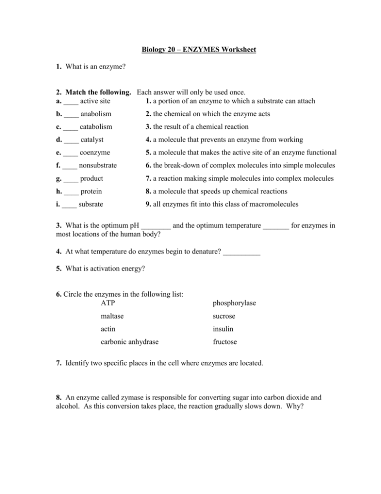 Biology Worksheets With Answers