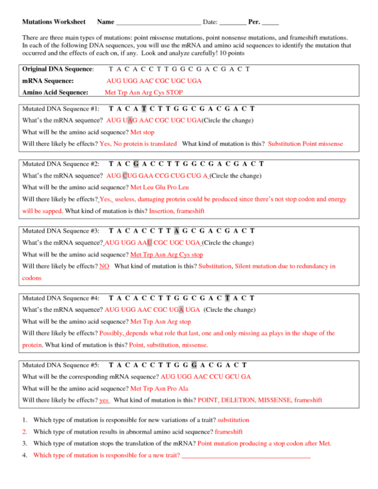 A An Worksheet With Answers