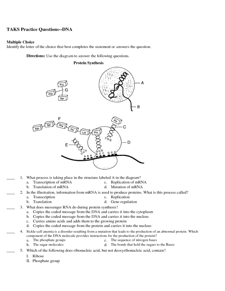 Dna Replication Practice Worksheet Drawing Answer Key