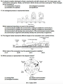 Ecological Succession Worksheet