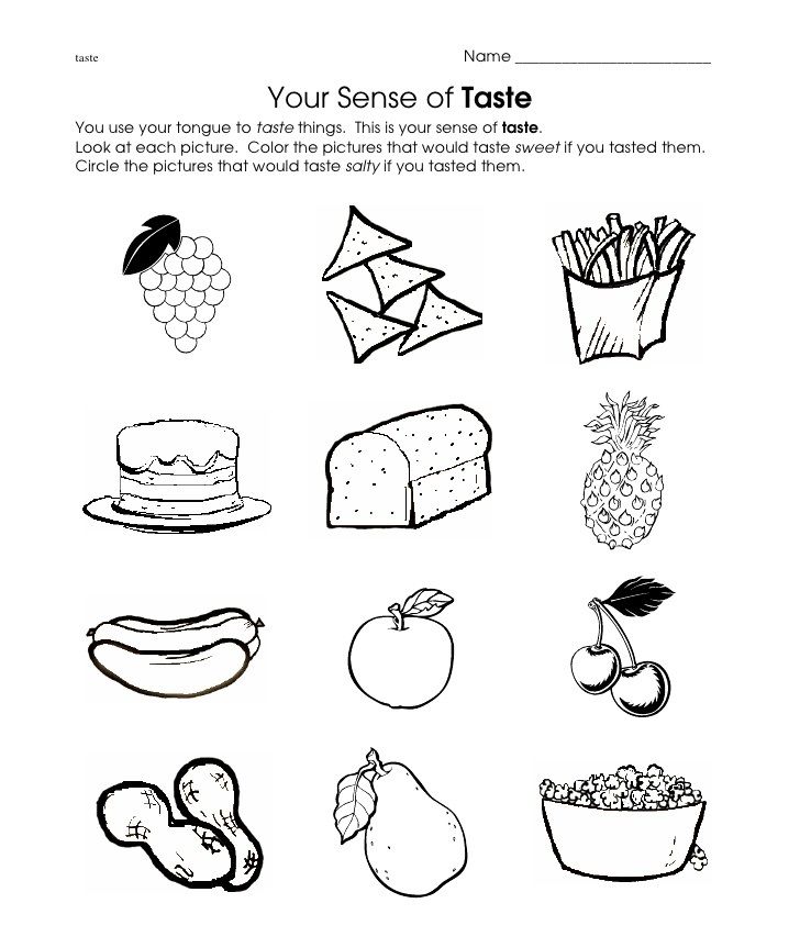 Senses Worksheet Preschool