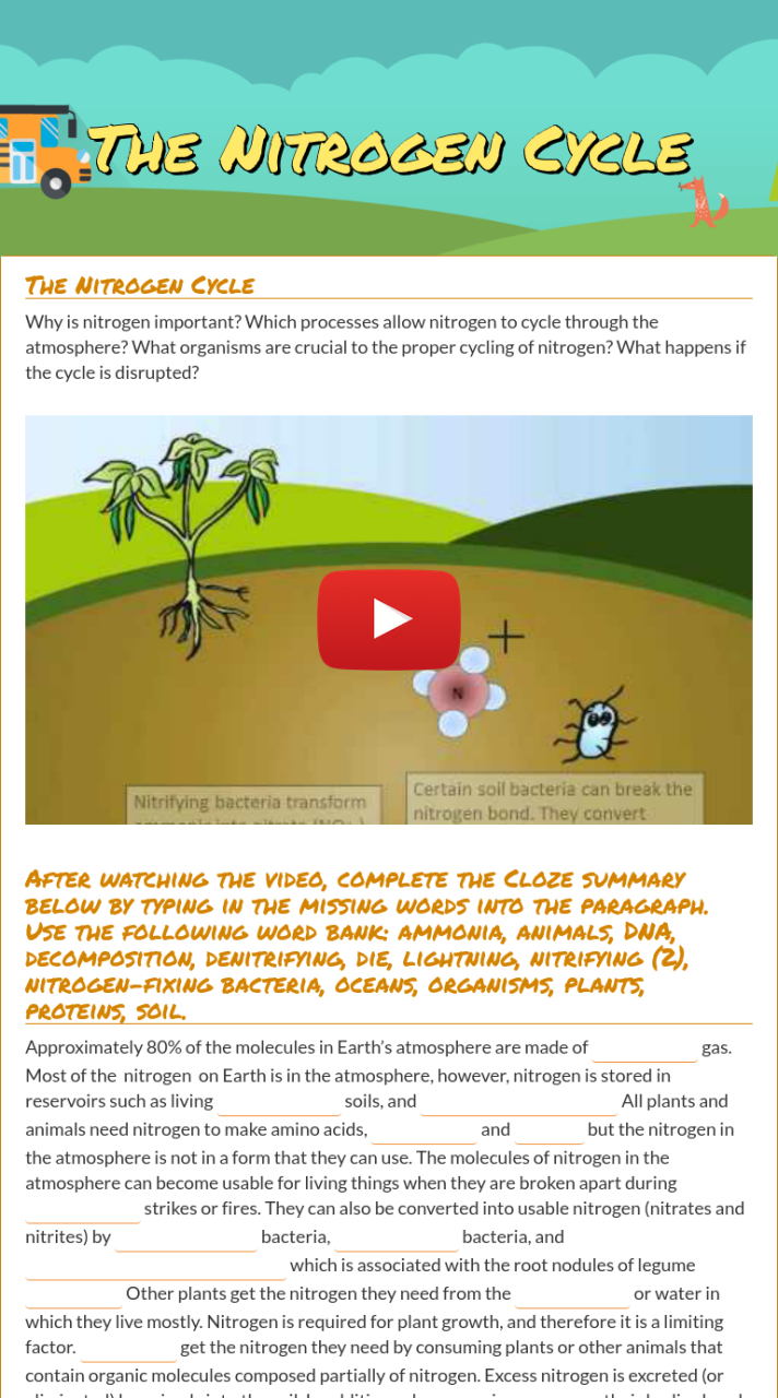 Nitrogen Cycle Worksheet