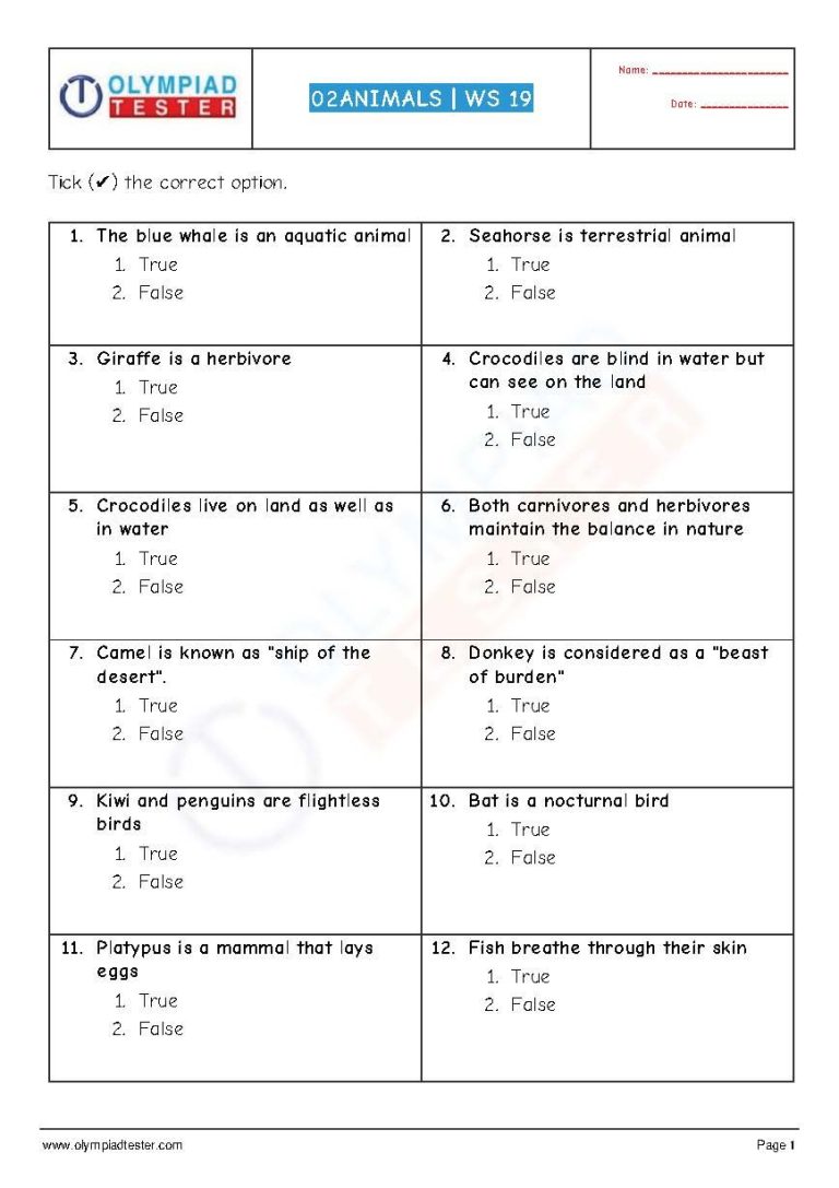 Real Number System Worksheet True Or False