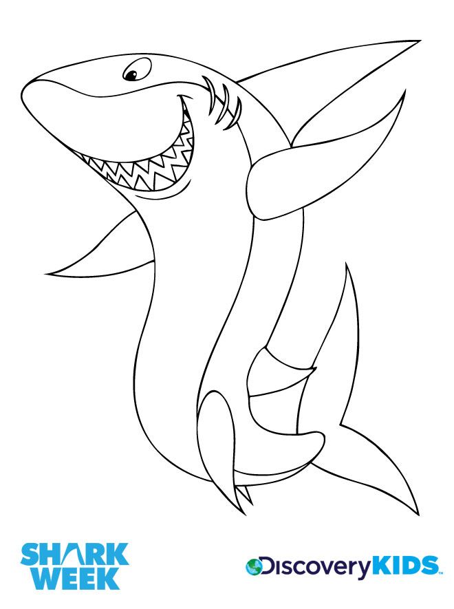 Megalodon Coloring Page