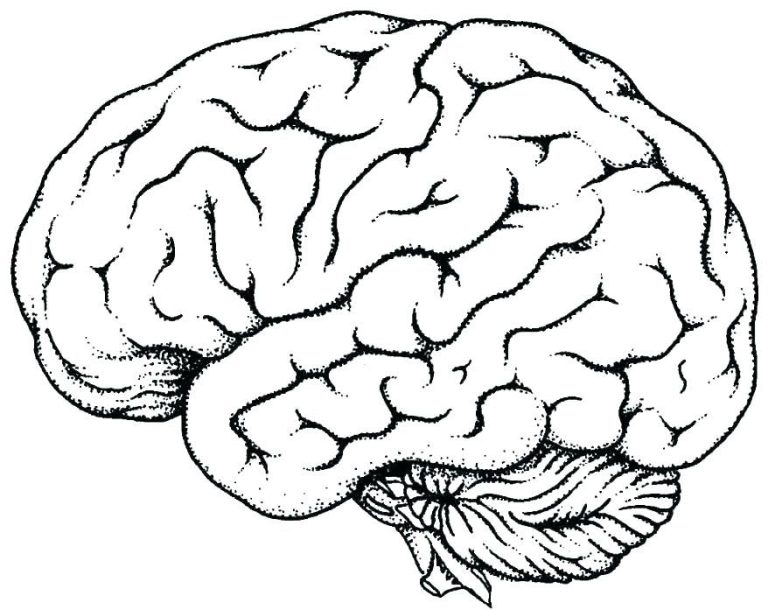 Brain Coloring Page