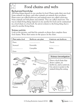 Ecosystem Worksheet 4th Grade