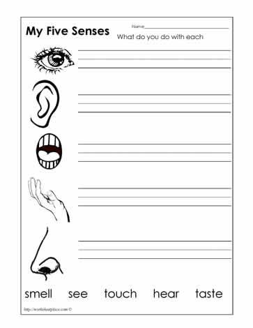 Five Senses Worksheets For Kindergarten