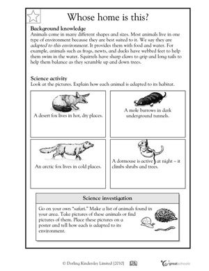 Animal Adaptations Worksheets 4th Grade Pdf