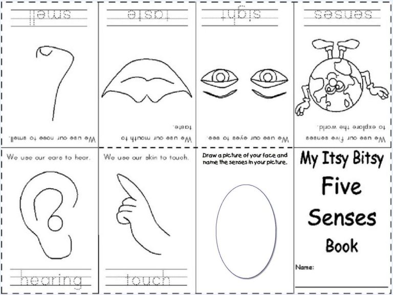 Senses Worksheet For Grade 1