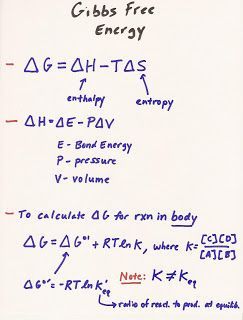 Thermodynamics Worksheet