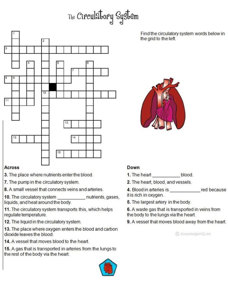 Circulatory System Worksheets For 2nd Grade