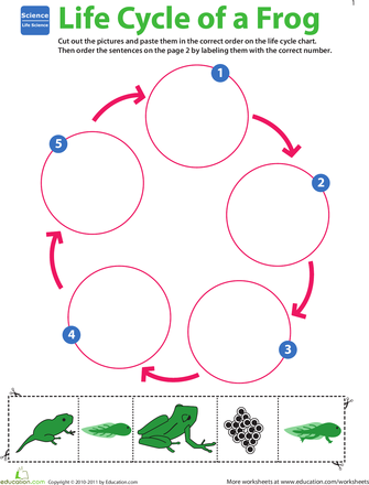 Multiplying Fractions Worksheets Pdf