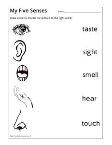 Senses Worksheet