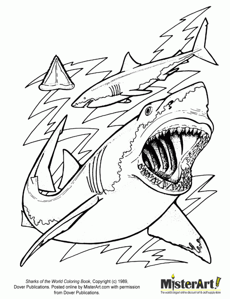 Shark Pictures To Color